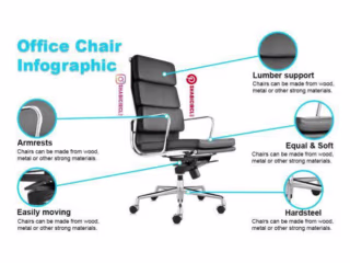 professional infographics