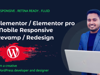 I will customize mobile responsive wordpress website
