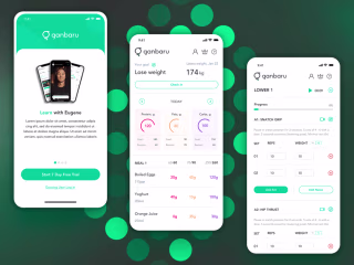 Ganbaru UI/UX design