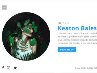 A Portfolio Web Card at a basic level