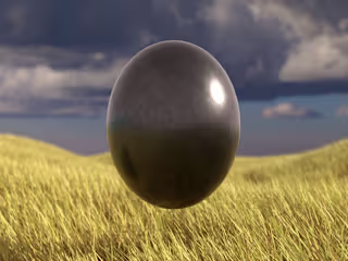 Field Trip - Short - Cloth Test