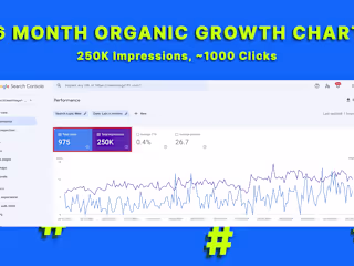 250K Organic Impressions in 6 Months