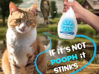 Talking Animal Ad Campaign