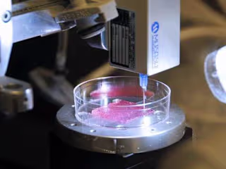 Application of bio printing 