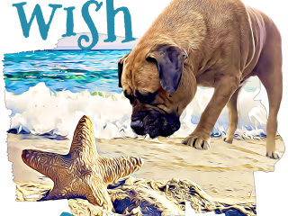 When You Wish