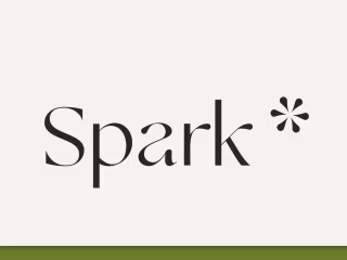 20x'd marketing ROI for Toronto-based Spark Social Agency