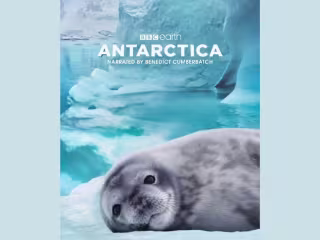 Series of Animated Movie Posters