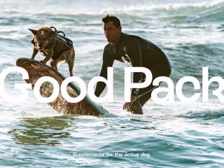 🐶 Good Pack: Dog Supplement Branding