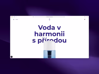 Ecommerce store