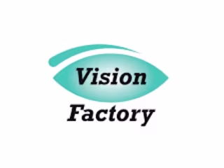 Social Media Manager at Vision Factory