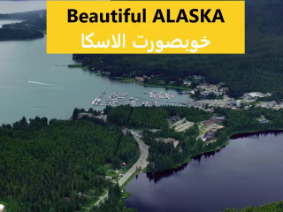 Beautiful Alaska  | Jungle | animals | snow | Mountains | Canad…