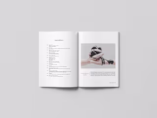 Print & Layout for Independent Magazines.