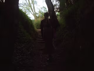 The Species in between Memory and Reverie | Trailer