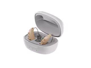Hearing Aid Model