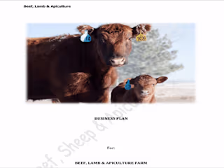 Business Plan for Beef, Lamb & Honey Farm.