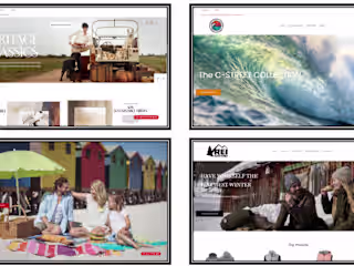 Custom E-commerce Web Stores for Antera