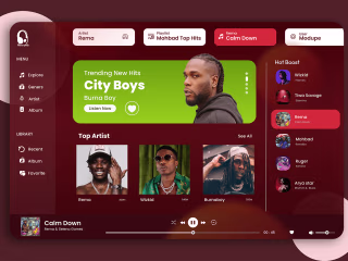 Music App page on Behance
