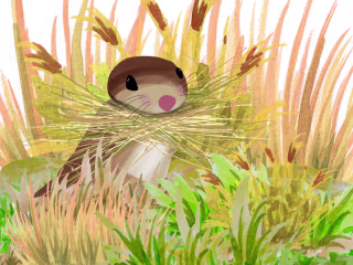 An Interactive web-based story called "A Squirrel Story"