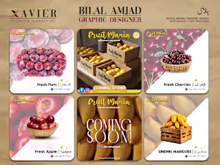 Professional Graphic Design & & Social Media Content