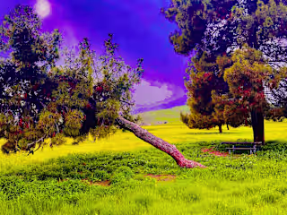 Unknown Sacred Realm