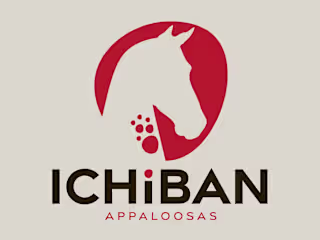 Ichiban Appaloosas | Branding a new company