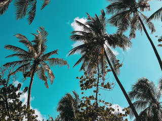 Passion for travelling
