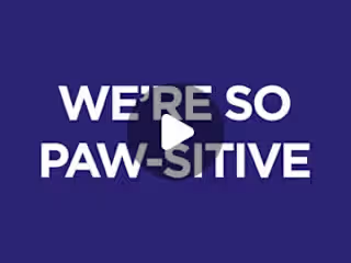 Bookmypet app promotion 