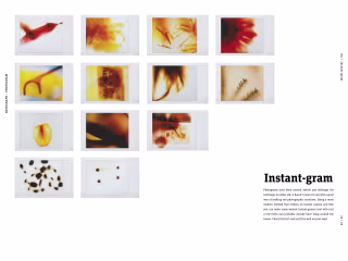 Book Design | Editorial Design