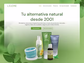L'EUDINE | Website design and development
