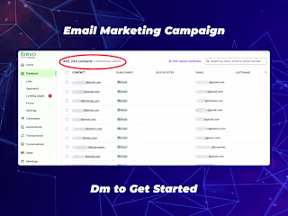 Managing 465,000 Leads on Brevo