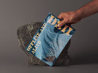 Catalogue Design DSII