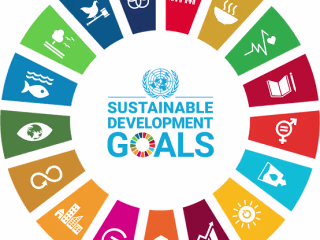 Corporate Sustainability Goals