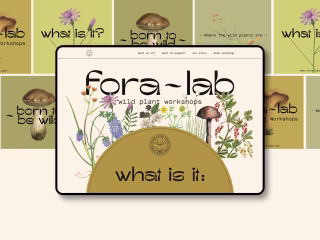 Fora-lab