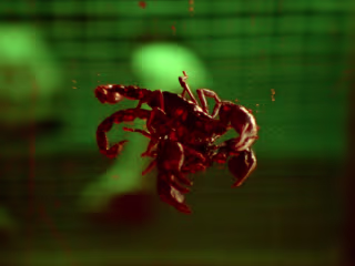 Music Video Production