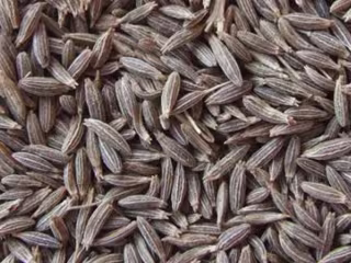 Cumin seeds