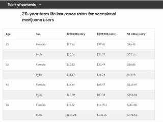 Buying Life Insurance for Marijuana Users - Policygenius