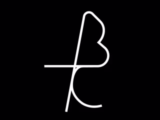 Rebranding Social Media Agency- BT Collective Agency