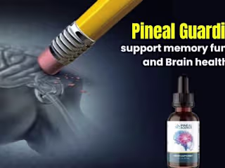 Pineal Guardian [TOP RATED] “Reviews” Genuine Expense?