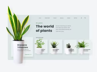 Website UI Animation