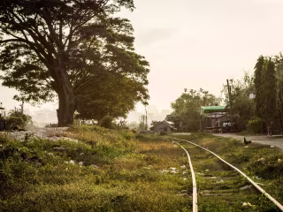 The Narrow Road to the Deep North, by Richard Flanagan