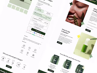 Complete E-Commerce Store Development