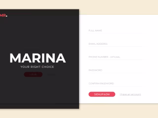 Login And SignUp Form
