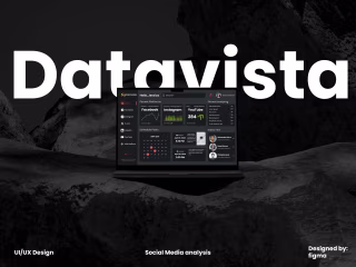 Datavista analysis UI/UX design