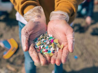 Microplastics research paper