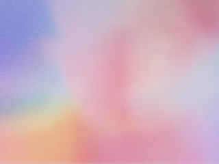Portfolio Improvement Project
