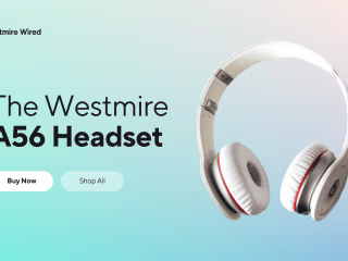  "Unique and customized design for gadget website."