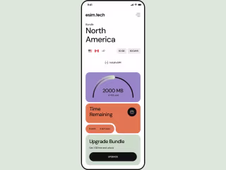 eSIM Portal Dashboard ux/ui