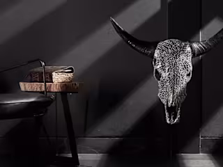 Skull Mania Sales