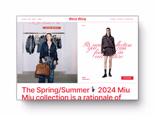 Miu Miu Redesign Concept
