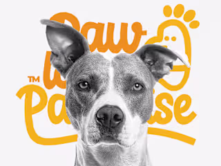 Branding for pawloverparadise